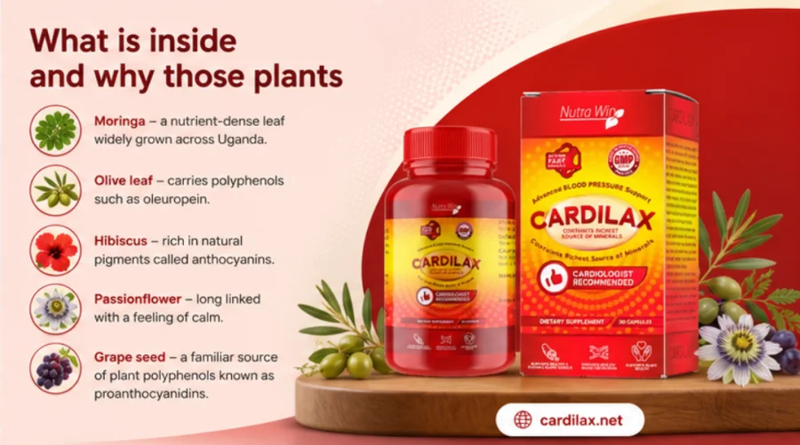 Cardilax — capsules with moringa, olive leaf, hibiscus, passionflower and grape seed