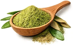 Cardilax — Olive leaf powder (Olea europaea)